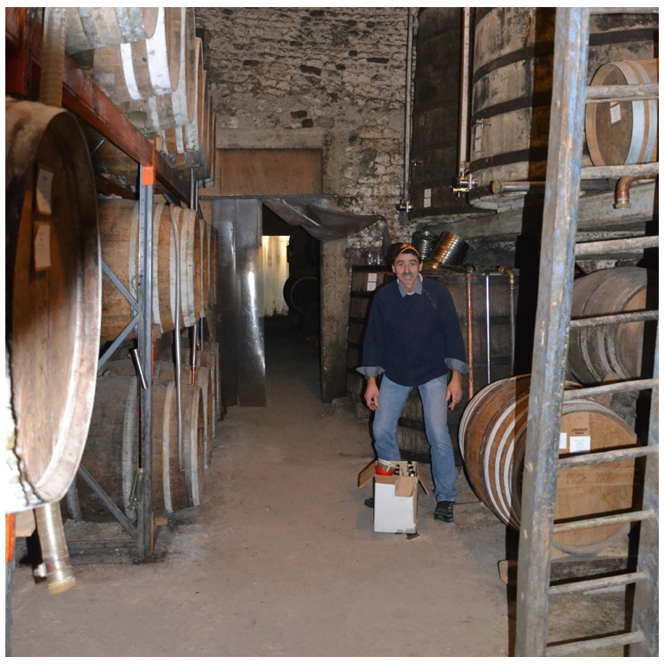 The Role Of Cellar Masters - Brandyclassics